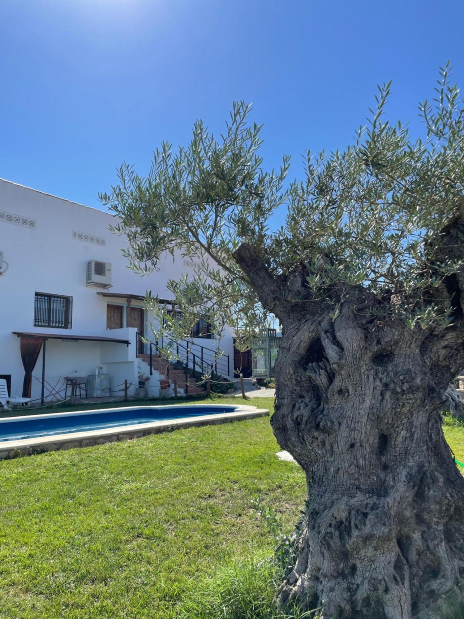 Casa Rural El Miajon Vila El Campo  Exterior foto