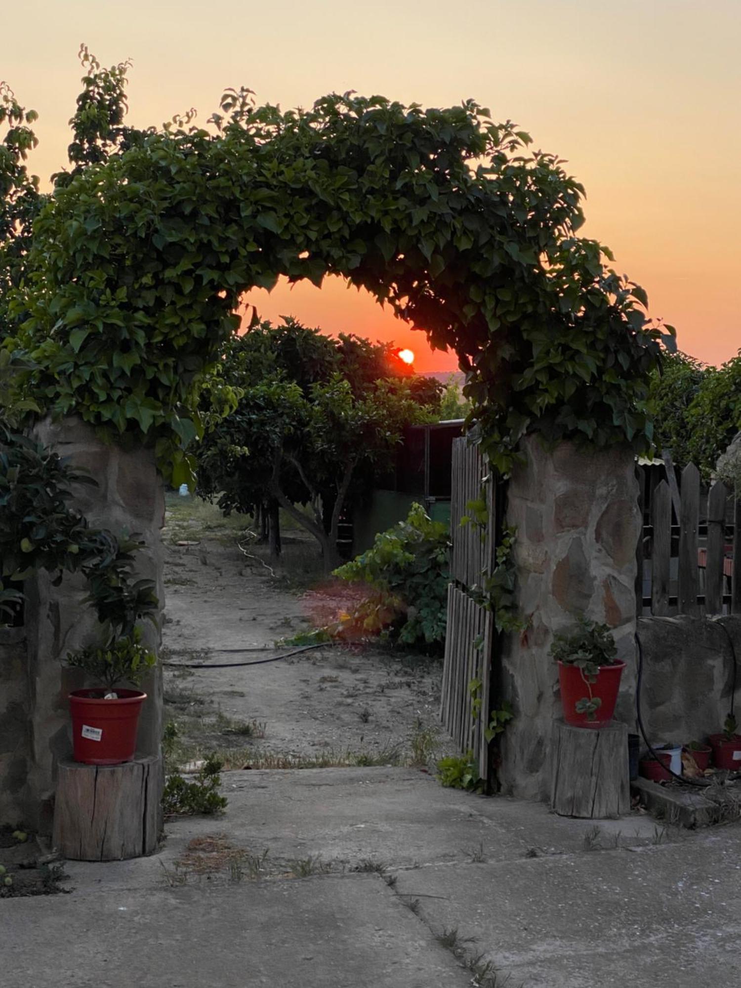 Casa Rural El Miajon Vila El Campo  Exterior foto